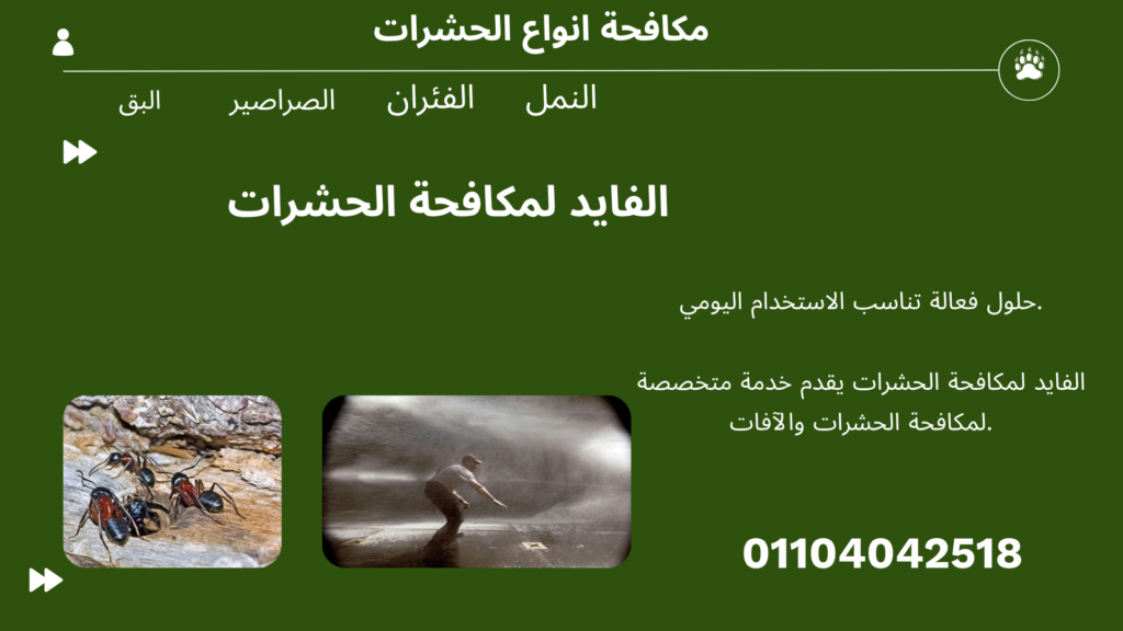 مكافحة الفئران والقوارض فى ميفيدا